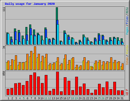 Daily usage for January 2020