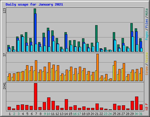 Daily usage for January 2021