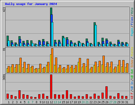 Daily usage for January 2024