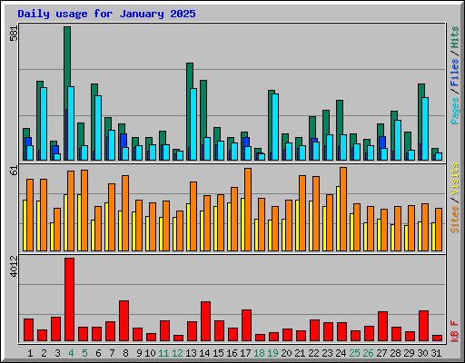Daily usage for January 2025