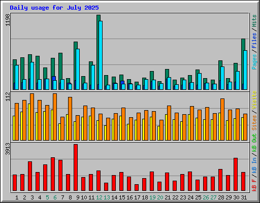 Daily usage for July 2025
