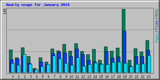 Hourly usage for January 2019