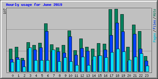 Hourly usage for June 2019