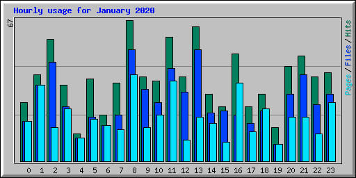 Hourly usage for January 2020