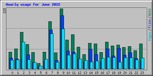 Hourly usage for June 2022