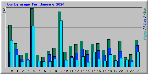 Hourly usage for January 2024