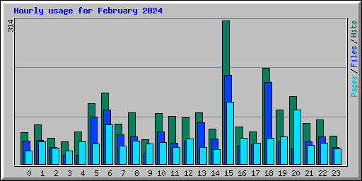 Hourly usage for February 2024
