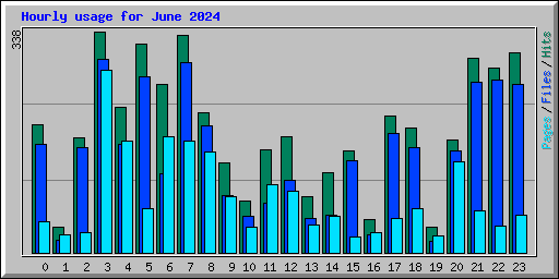 Hourly usage for June 2024