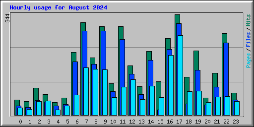 Hourly usage for August 2024