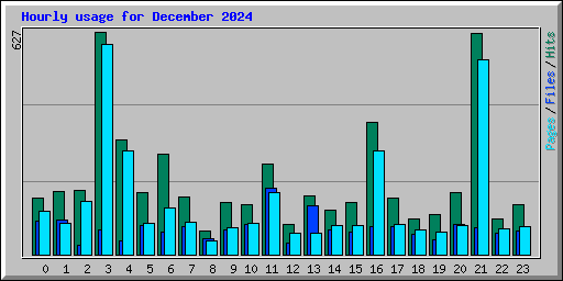 Hourly usage for December 2024