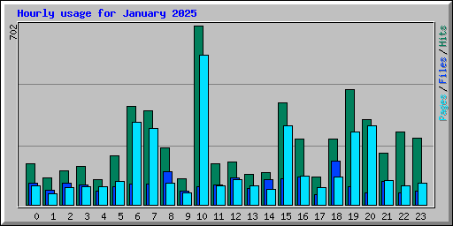 Hourly usage for January 2025