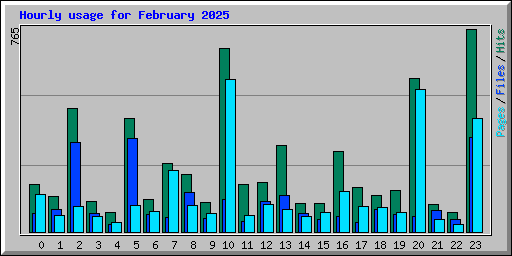 Hourly usage for February 2025