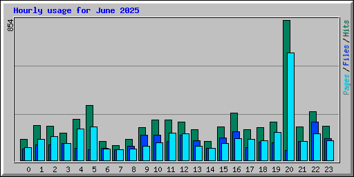 Hourly usage for June 2025