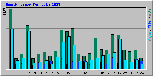 Hourly usage for July 2025