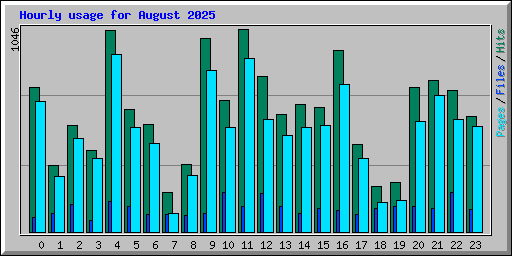 Hourly usage for August 2025